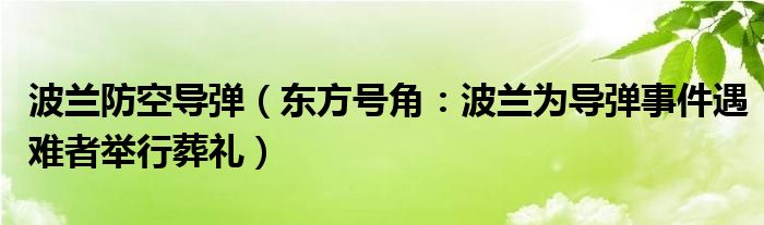 波兰防空导弹（东方号角：波兰为导弹事件遇难者举行葬礼）