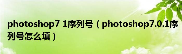 photoshop7 1序列号（photoshop7.0.1序列号怎么填）