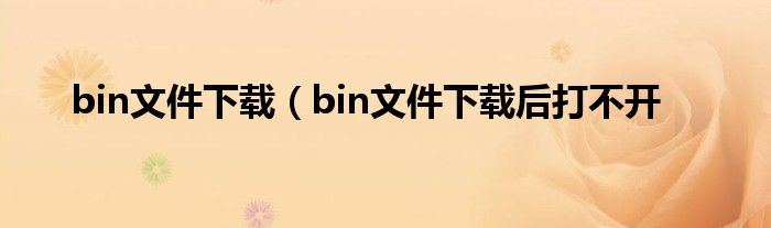 bin文件下载（bin文件下载后打不开