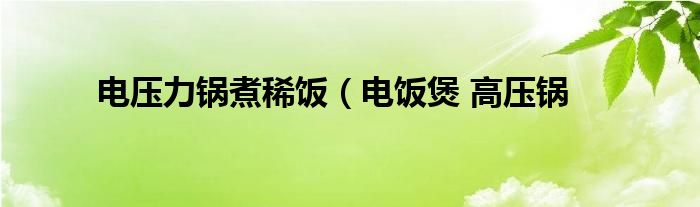 电压力锅煮稀饭（电饭煲 高压锅