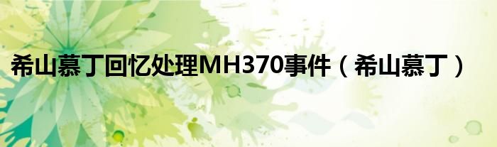 希山慕丁回忆处理MH370事件（希山慕丁）
