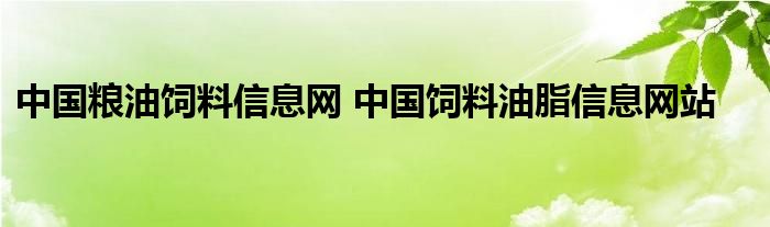 中国粮油饲料信息网 中国饲料油脂信息网站