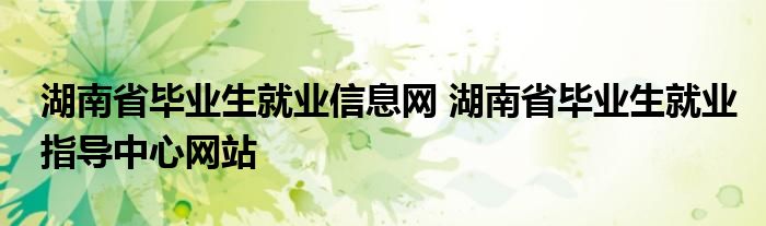 湖南省毕业生就业信息网 湖南省毕业生就业指导中心网站