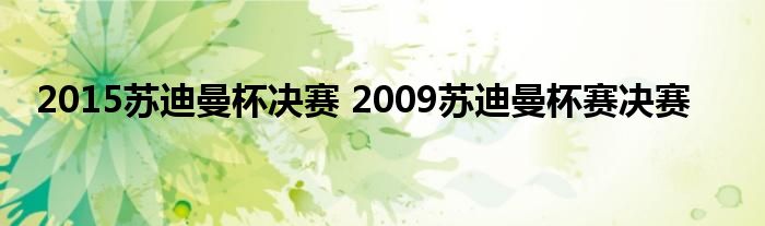 2015苏迪曼杯决赛 2009苏迪曼杯赛决赛