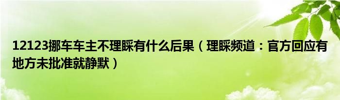 12123挪车车主不理睬有什么后果（理睬频道：官方回应有地方未批准就静默）