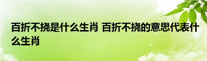 百折不挠是什么生肖 百折不挠的意思代表什么生肖