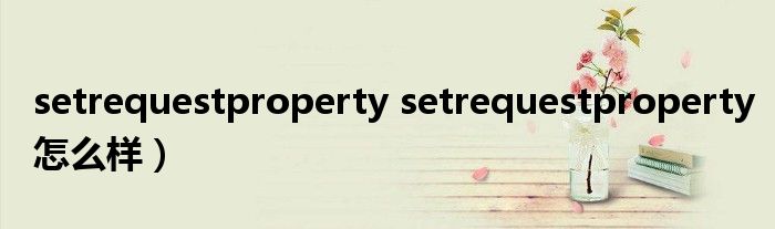 setrequestproperty setrequestproperty怎么样）