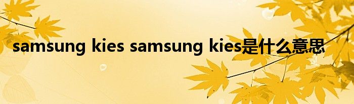 samsung kies samsung kies是什么意思