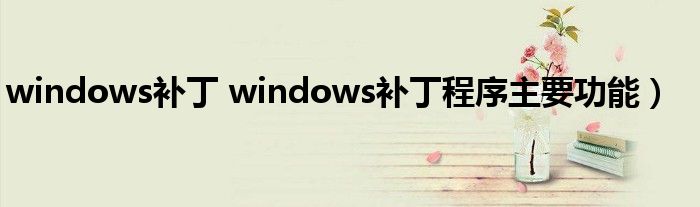 windows补丁 windows补丁程序主要功能）