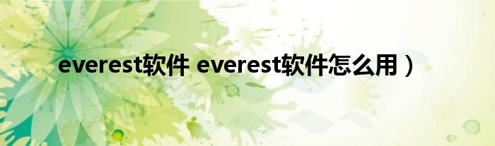 everest软件 everest软件怎么用）