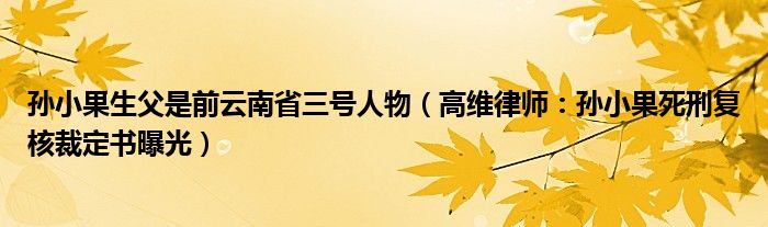 孙小果生父是前云南省三号人物（高维律师：孙小果死刑复核裁定书曝光）