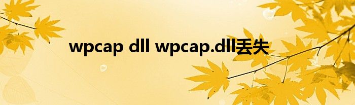 wpcap dll wpcap.dll丢失