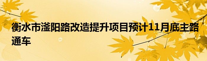 衡水市滏阳路改造提升项目预计11月底主路通车