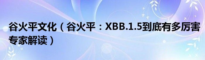 谷火平文化（谷火平：XBB.1.5到底有多厉害专家解读）