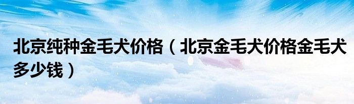 北京纯种金毛犬价格（北京金毛犬价格金毛犬多少钱）