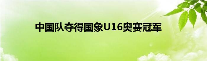 中国队夺得国象U16奥赛冠军