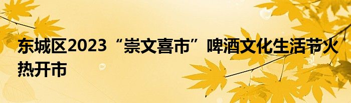 东城区2023“崇文喜市”啤酒文化生活节火热开市