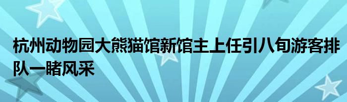 杭州动物园大熊猫馆新馆主上任引八旬游客排队一睹风采