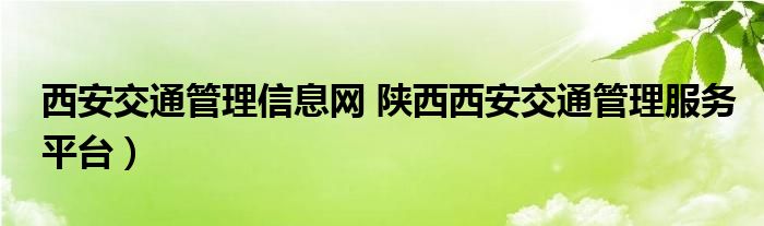 西安交通管理信息网 陕西西安交通管理服务平台）