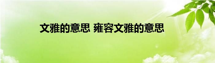 文雅的意思 雍容文雅的意思