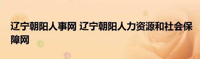 辽宁朝阳人事网 辽宁朝阳人力资源和社会保障网