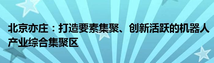 北京亦庄：打造要素集聚、创新活跃的机器人产业综合集聚区