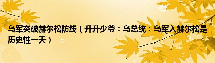 乌军突破赫尔松防线（升升少爷：乌总统：乌军入赫尔松是历史性一天）