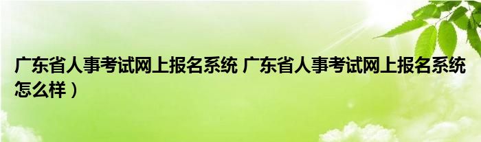 广东省人事考试网上报名系统 广东省人事考试网上报名系统怎么样）