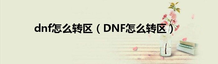 dnf怎么转区（DNF怎么转区）