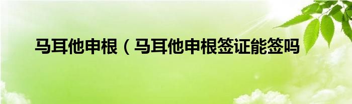 马耳他申根（马耳他申根签证能签吗