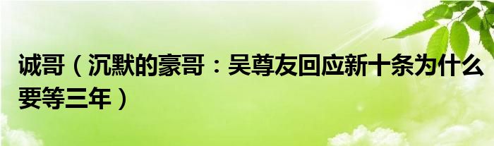 诚哥（沉默的豪哥：吴尊友回应新十条为什么要等三年）