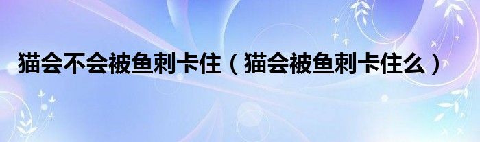 猫会不会被鱼刺卡住（猫会被鱼刺卡住么）