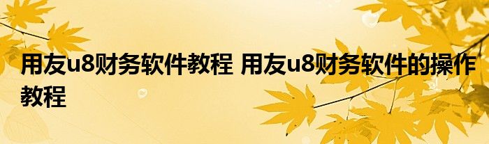 用友u8财务软件教程 用友u8财务软件的操作教程