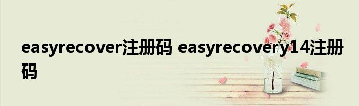 easyrecover注册码 easyrecovery14注册码