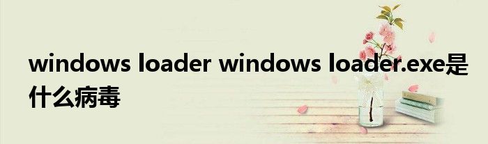 windows loader windows loader.exe是什么病毒