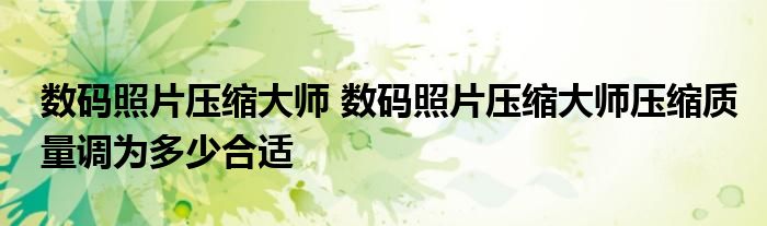 数码照片压缩大师 数码照片压缩大师压缩质量调为多少合适