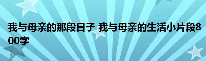 我与母亲的那段日子 我与母亲的生活小片段800字