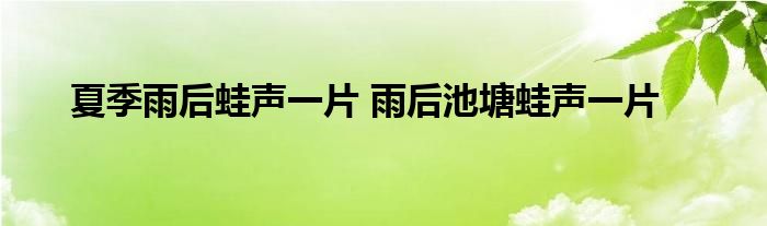 夏季雨后蛙声一片 雨后池塘蛙声一片