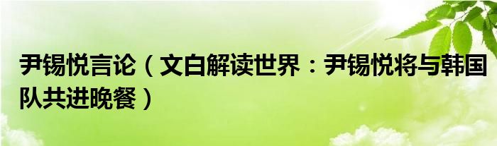 尹锡悦言论（文白解读世界：尹锡悦将与韩国队共进晚餐）