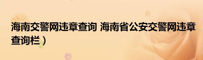 海南交警网违章查询 海南省公安交警网违章查询栏）