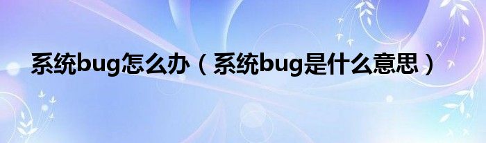 系统bug怎么办（系统bug是什么意思）