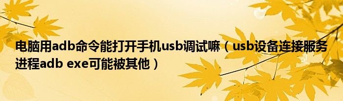 电脑用adb命令能打开手机usb调试嘛（usb设备连接服务进程adb exe可能被其他）