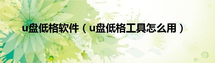 u盘低格软件（u盘低格工具怎么用）