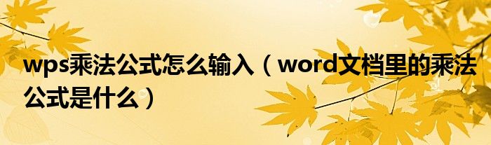 wps乘法公式怎么输入（word文档里的乘法公式是什么）