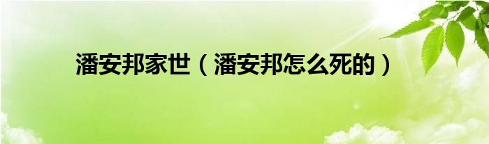 潘安邦家世（潘安邦怎么死的）