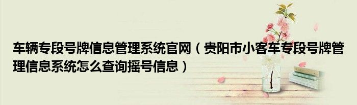 车辆专段号牌信息管理系统官网（贵阳市小客车专段号牌管理信息系统怎么查询摇号信息）