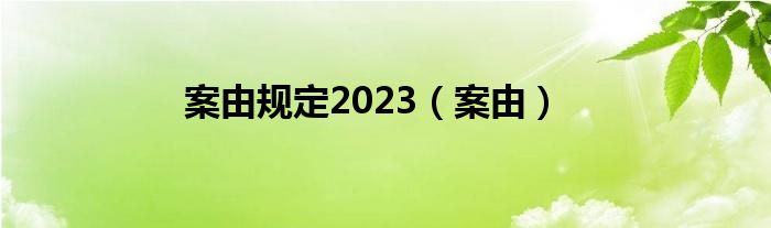 案由规定2023（案由）