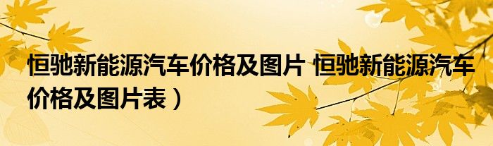 恒驰新能源汽车价格及图片 恒驰新能源汽车价格及图片表）