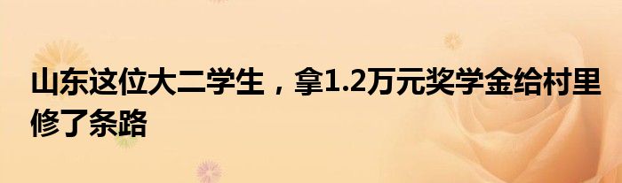 山东这位大二学生，拿1.2万元奖学金给村里修了条路