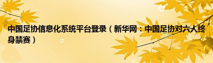 中国足协信息化系统平台登录（新华网：中国足协对六人终身禁赛）